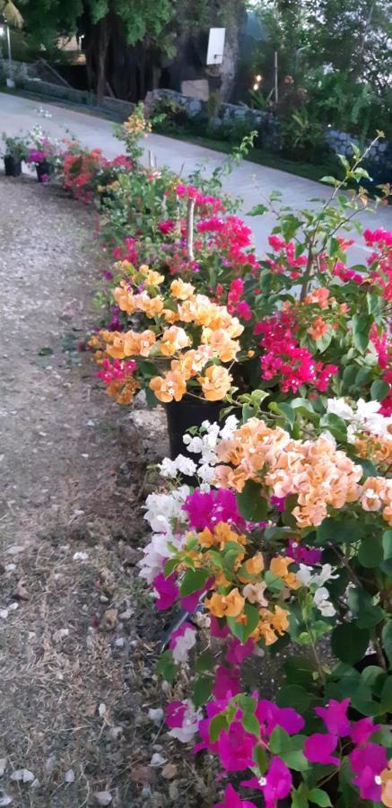 Coco Cabana Romblon Agpanabat Luaran gambar