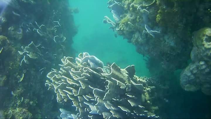 Coco Cabana Romblon Agpanabat Luaran gambar
