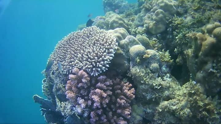 Coco Cabana Romblon Agpanabat Luaran gambar